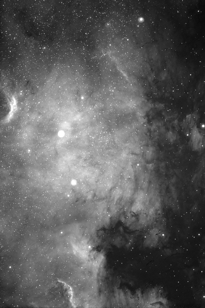 Immagine:NGC7000_FINAL_1024px.jpg