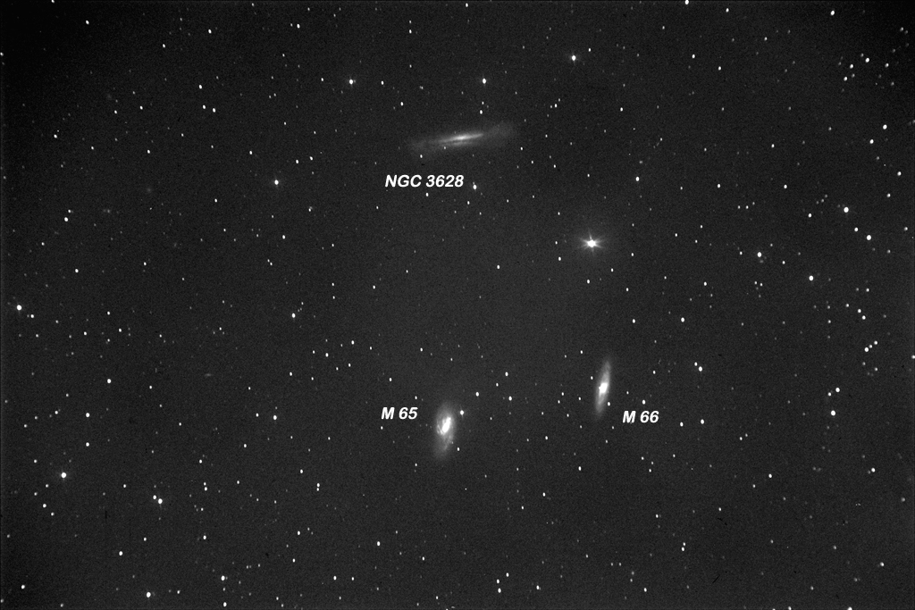 Immagine:M65_M66_NGC3628_201903150023180sec_1x1_L5_D_1024_label.jpg
