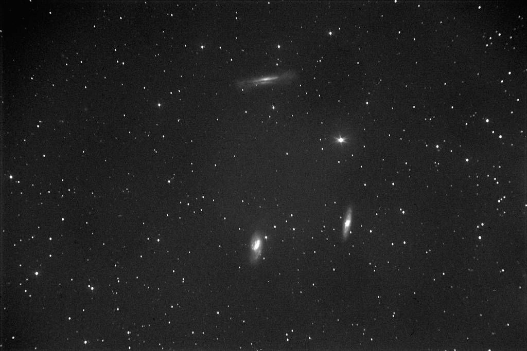 Immagine:M65_M66_NGC3628_201903150023180sec_1x1_L5_D_1024.jpg