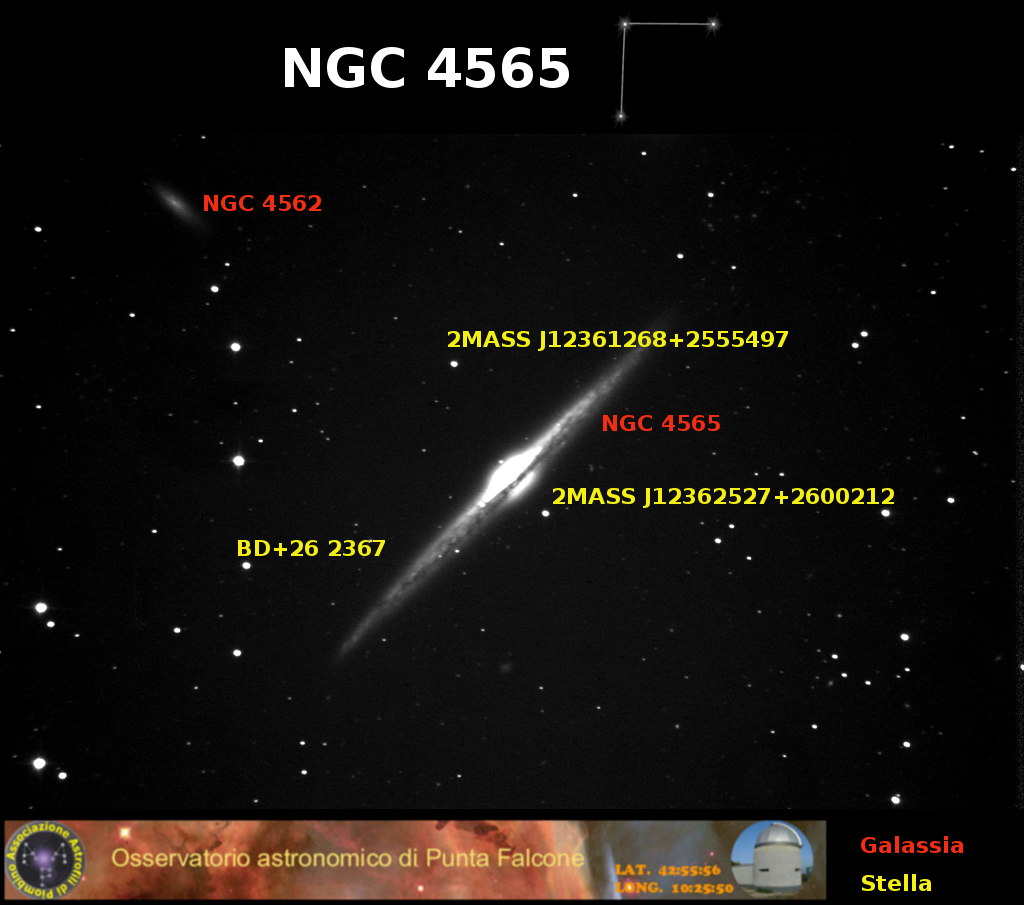 Immagine:Ngc4565_campo.png
